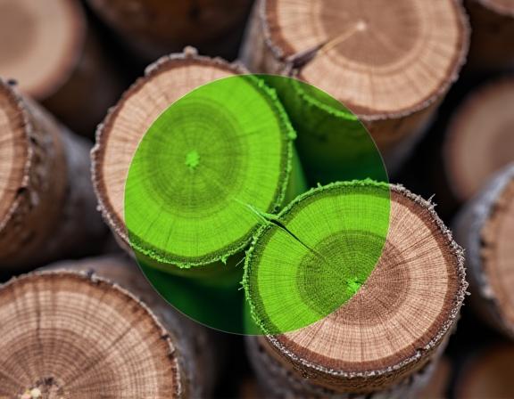 A green leaf symbol superimposed on a stack of sustainably sourced timber.